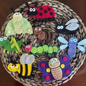 May include: A set of felt insect appliques, including a ladybug, butterfly, bee, caterpillar, dragonfly, grasshopper, and a green ant. The appliques are arranged in a circle on a woven basket.