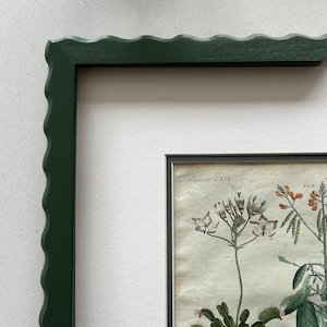 May include: A framed botanical print with detailed plant illustrations. The dark green frame has a scalloped edge, and the print is matted with a white border. The print includes the text "Plawson LXIX."
