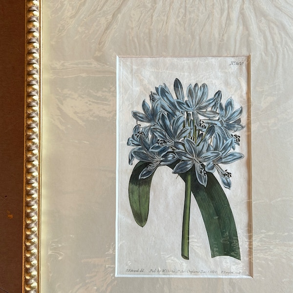 Gold Bobbin Embossed Wood Picture Frame, Bespoke Sizes
