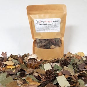 TERRESTRIAL TREASURE TROVE, Leaf litter & foraging blend for hermit crabs, isopods - natural bioactive terrarium decor, enrichment