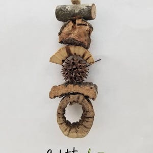 May include: A natural bird toy made of various wood pieces, bark, and a seed pod, suspended by a jute string. The toy features a cylindrical wood piece, bark, a fan-shaped piece, a spiky seed pod, and a ring-shaped piece.