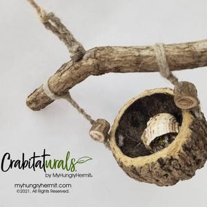 Hanging Pod Swing - MC08 - for hermit crabs, Habbijabbi, air plant pot, foraging, nest, natural crabitat vivarium terrarium habitat decor