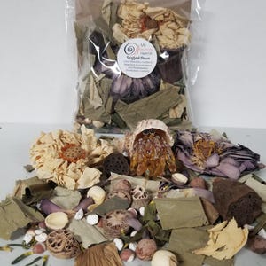 May include: A clear plastic bag containing dried lotus seed pods, lotus leaves, and flower petals with a label reading My Hungry Hermit Jogged Down. In front, a small hermit crab with a translucent amber body resides in a spiral seashell.