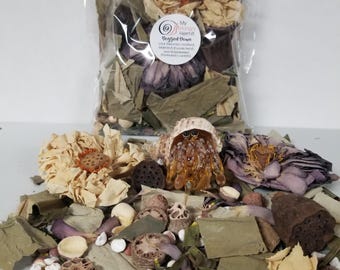 BOGGED DOWN - Wetlands Mix, Leaf Litter for Hermit Crabs, isopods - natural crabitat decor, enrichment