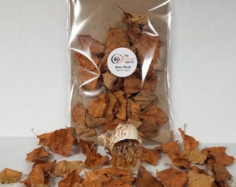 Little Leaves - RIVER BIRCH (Betula nigra) Leaf Litter, Aesthetic decor for bioactive terrariums, hermit crabs, isopods, invertebrates