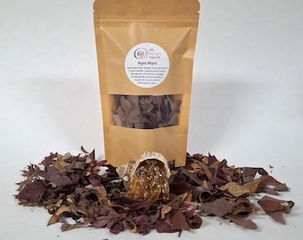 HOJAS ROJAS, Red Leaves Foraging Blend - Leaf Litter for Hermit Crabs, isopods, dubia - natural terrarium decor and enrichment