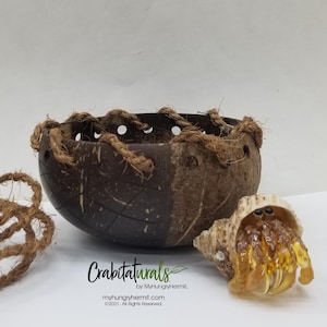 May include: A dark brown coconut shell bowl with a textured exterior and a woven jute rope threaded through holes along the rim. Beside the bowl sits a small hermit crab figurine inside a tan spiral shell. Text reads: Crabitaturals by MyHungryHermit.