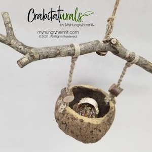 May include: A natural hermit crab habitat. A coconut shell home hangs from a wooden branch with rope. The branch is secured with twine. The text "Crabitaturals" and website information are visible.