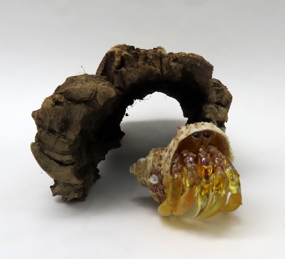 Cork Hide Cave Tunnel for Hermit Crabs Geckos Tarantulas Etsy