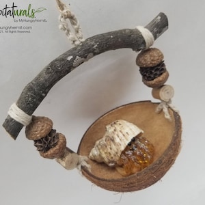 May include: A hanging swing for a hermit crab made from a curved wooden branch, natural twine, acorn caps, and a coconut shell base. A hermit crab with a tan and brown shell sits inside the coconut shell. Text reads Crabitaturals by MyHungryHermit.