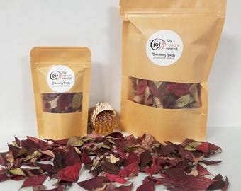Red Burning Bush Leaves - 2 Sizes - (Euonymus alatus) Leaf Litter for Hermit Crabs, isopods, dubia - natural crabitat decor and enrichment