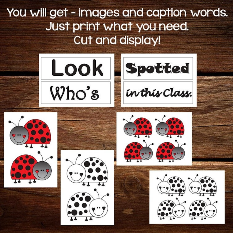 Printable Bulletin Board Display Kit, Classroom Bulletin Board Ideas ...