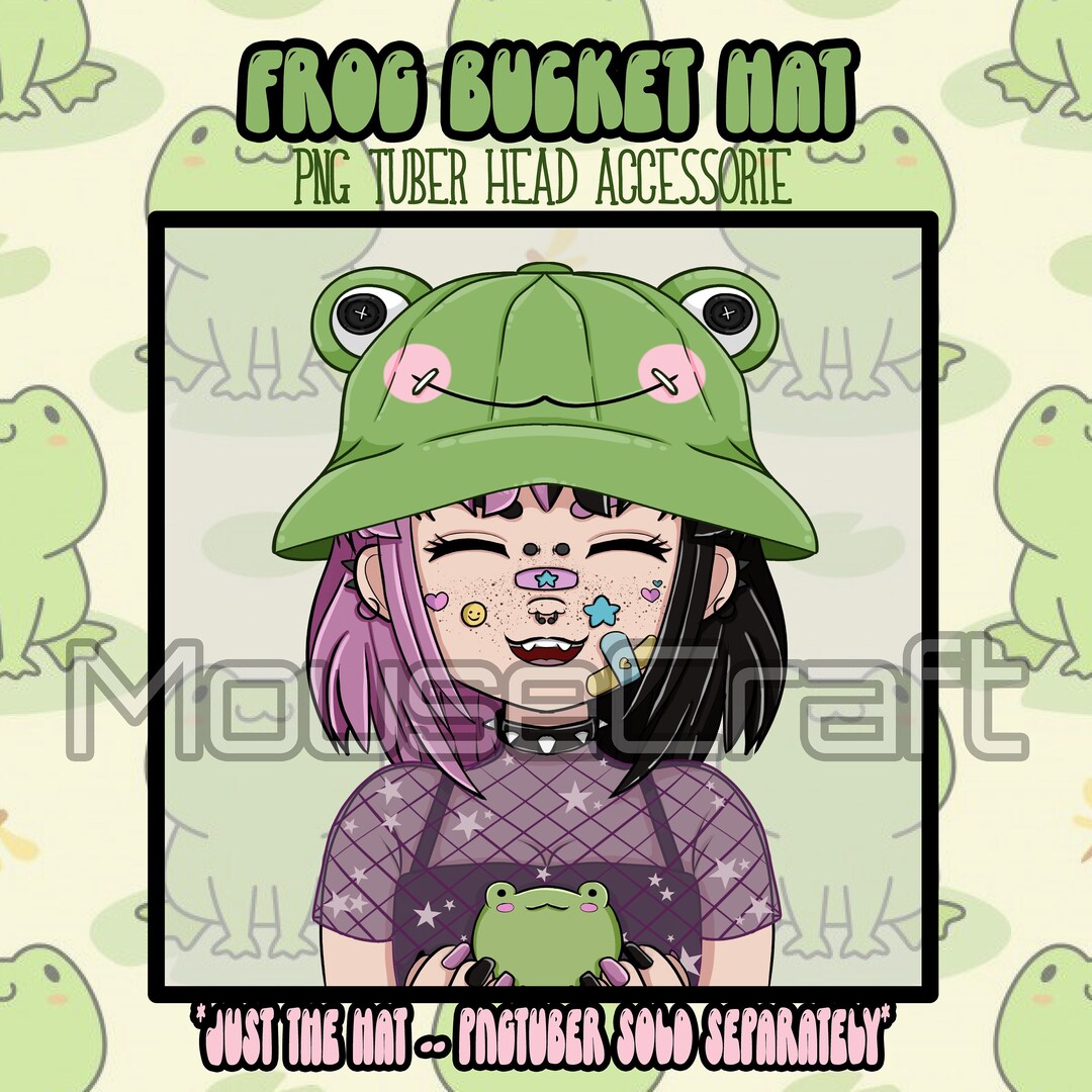 Froggy Bucket Hat Head Assets PNG Tuber Accessories Twitch Assets Etsy