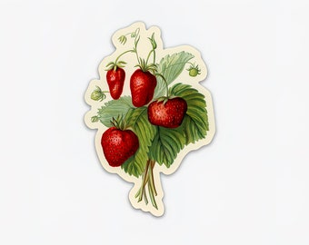 Vintage Strawberry Sticker -- Hydroflask Sticker -- Laptop Sticker -- Cottagecore Sticker -- Strawberry Sticker -- Cute Sticker