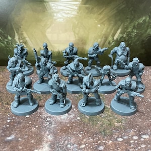 Può includere: Una collezione di dodici miniature in plastica grigia non dipinte, posizionate su basi circolari. Ogni figura raffigura un personaggio unico in posizione di combattimento, che impugna varie armi tra cui fucili e pistole, con armature dettagliate.