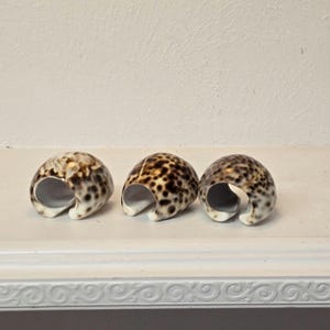 Set of 3 Vintage Cowrie Shell Napkin Rings – Coastal Boho Table Decor – Natural Beach House Dining Set – Rustic Ocean-Inspired Accents