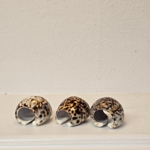 Set of 3 Vintage Cowrie Shell Napkin Rings – Coastal Boho Table Decor – Natural Beach House Dining Set – Rustic Ocean-Inspired Accents
