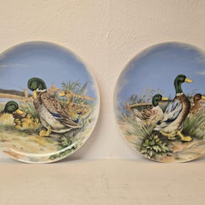 Ensemble de 2 assiettes de collection vintage avec des canards, fabriquées au Japon, assiette décorative en céramique, scène animalière peinte à la main, porcelaine du Japon