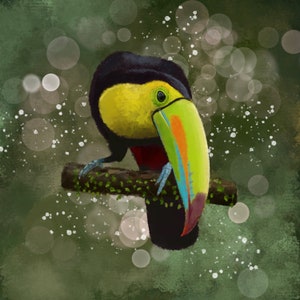 Toucan Painting, Toucan Wall Art, Toucan Canvas Print, Bird Painting, Bird Canvas Art, Animal Painting, Animal Wall Art