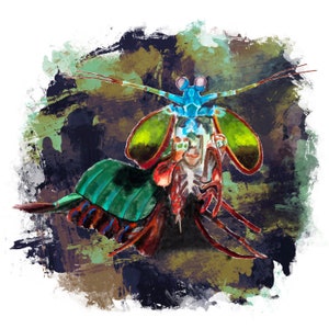 Arte de la pared del camarón Mantis, impresión del camarón Mantis, pintura del camarón Mantis, cartel del camarón Mantis, impresión animal, pintura animal