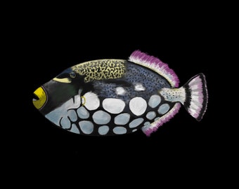 Clown Triggerfish Canvas Print, Vivid Tropical Fish Wall Art