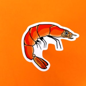 Cartoon Shrimp Imperméable à l’eau Vinyle Autocollant Sticker Decal