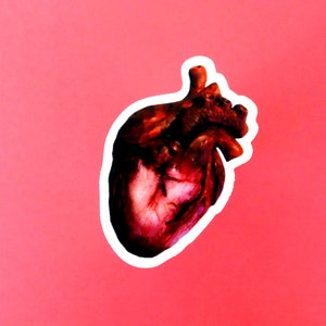 Anatomical Heart Waterproof Vinyl Sticker Decal