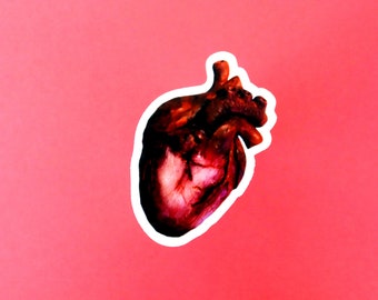 Anatomical Heart Waterproof Vinyl Sticker Decal
