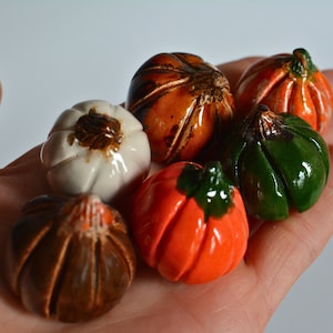 Könnte beinhalten: Eine Sammlung von sechs kleinen Keramik-Kürbissen in verschiedenen Farben, darunter Weiß, Braun, Orange und Grün. Die Kürbisse sind alle handbemalt und haben eine glänzende Oberfläche.