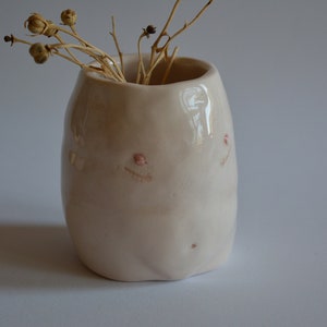 Peut inclure: Petit vase en céramique blanc cassé, de forme arrondie et à ouverture étroite. Le vase présente de subtiles marques roses et contient des tiges sèches beiges. C'est un objet décoratif.