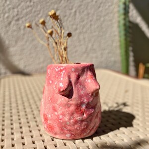 May include: A small pink ceramic vase with a speckled glaze and a face-like design. The vase is filled with dried flowers.