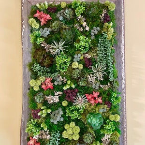 Succulent Box | Succulent & Moss Frame | Succulent Wall Art | Moss Wall Art