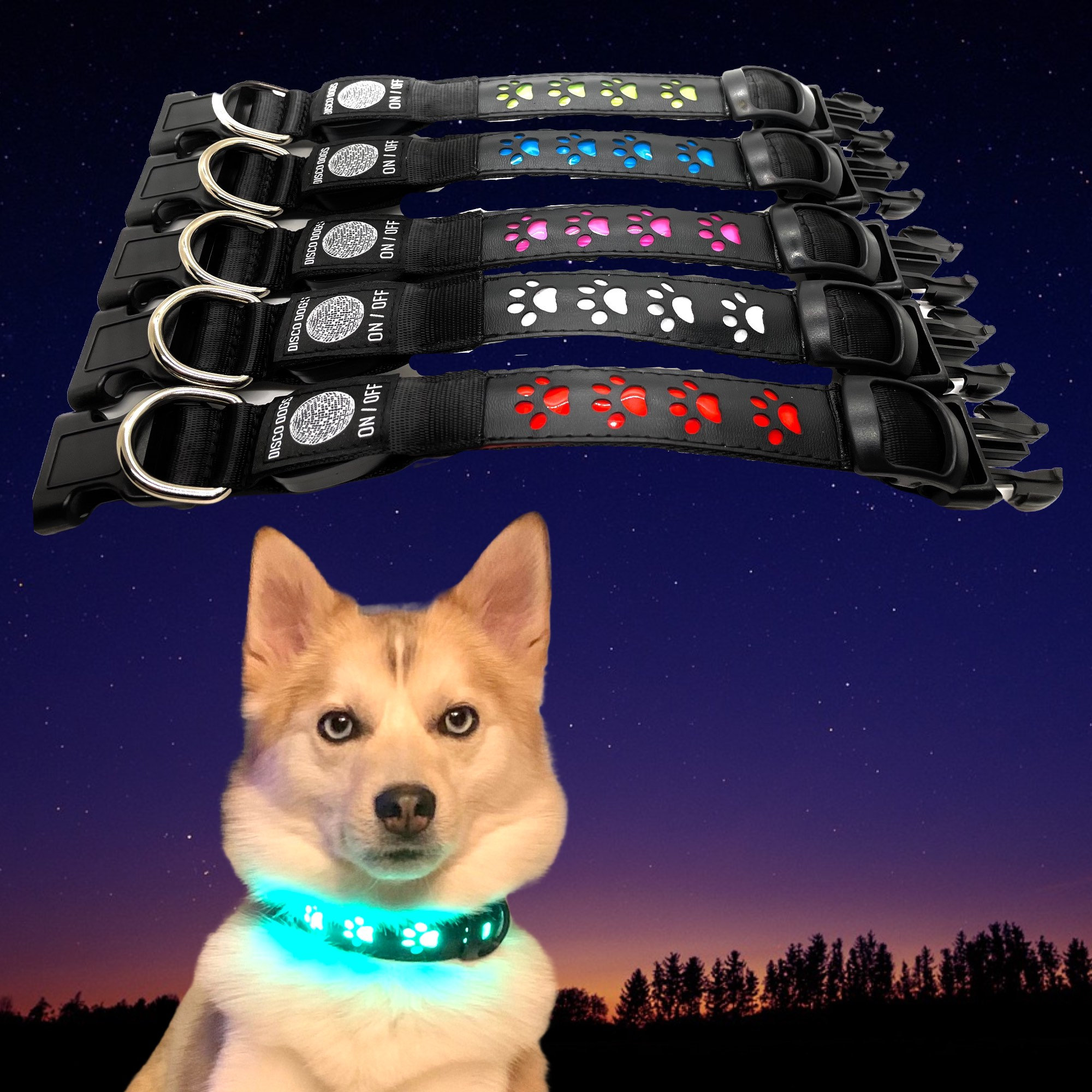 disco dog collar