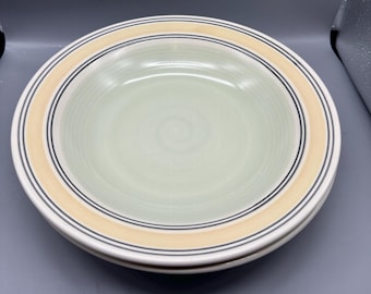 2 Pfaltzgraff Stoneware Mexico KEY LARGO Stripe Individual Dinner Bowls 10" Hard to find!