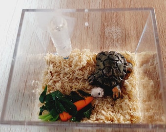 Dolls House Tortoise Cage with Food, Water Bottle, 12th Scale, Miniature