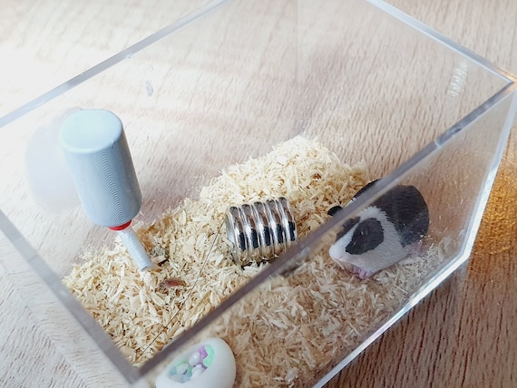 Guinea pig bin cage top