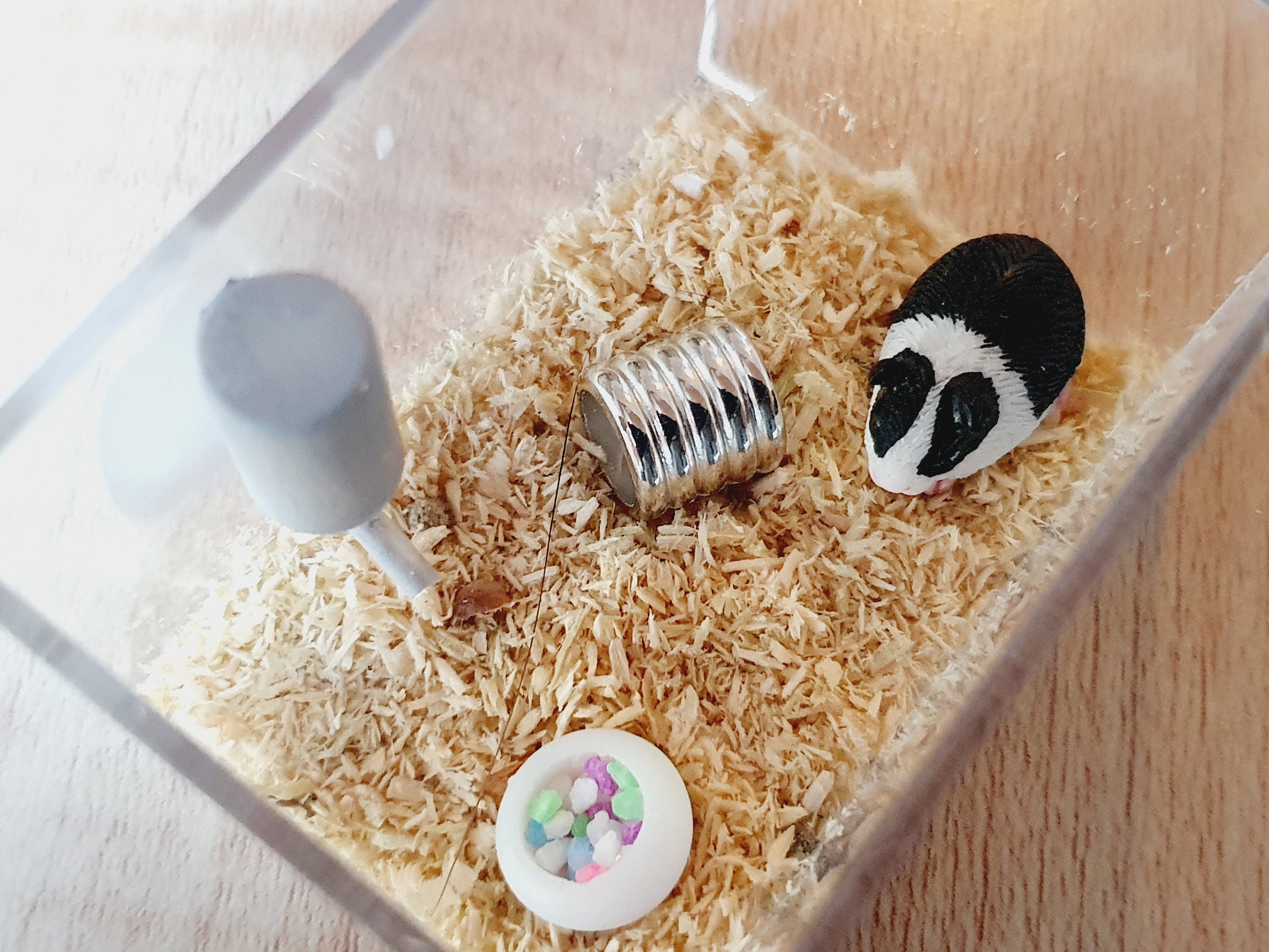 Doll House Light Blue Foxglove Single Flower 1:12 Scale Miniature Garden Tumdee