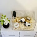 Dolls House Guinea Pig Cage with Sawdust, Food, Water Bottle and Exercise Tube, 12th Scale, Miniature,