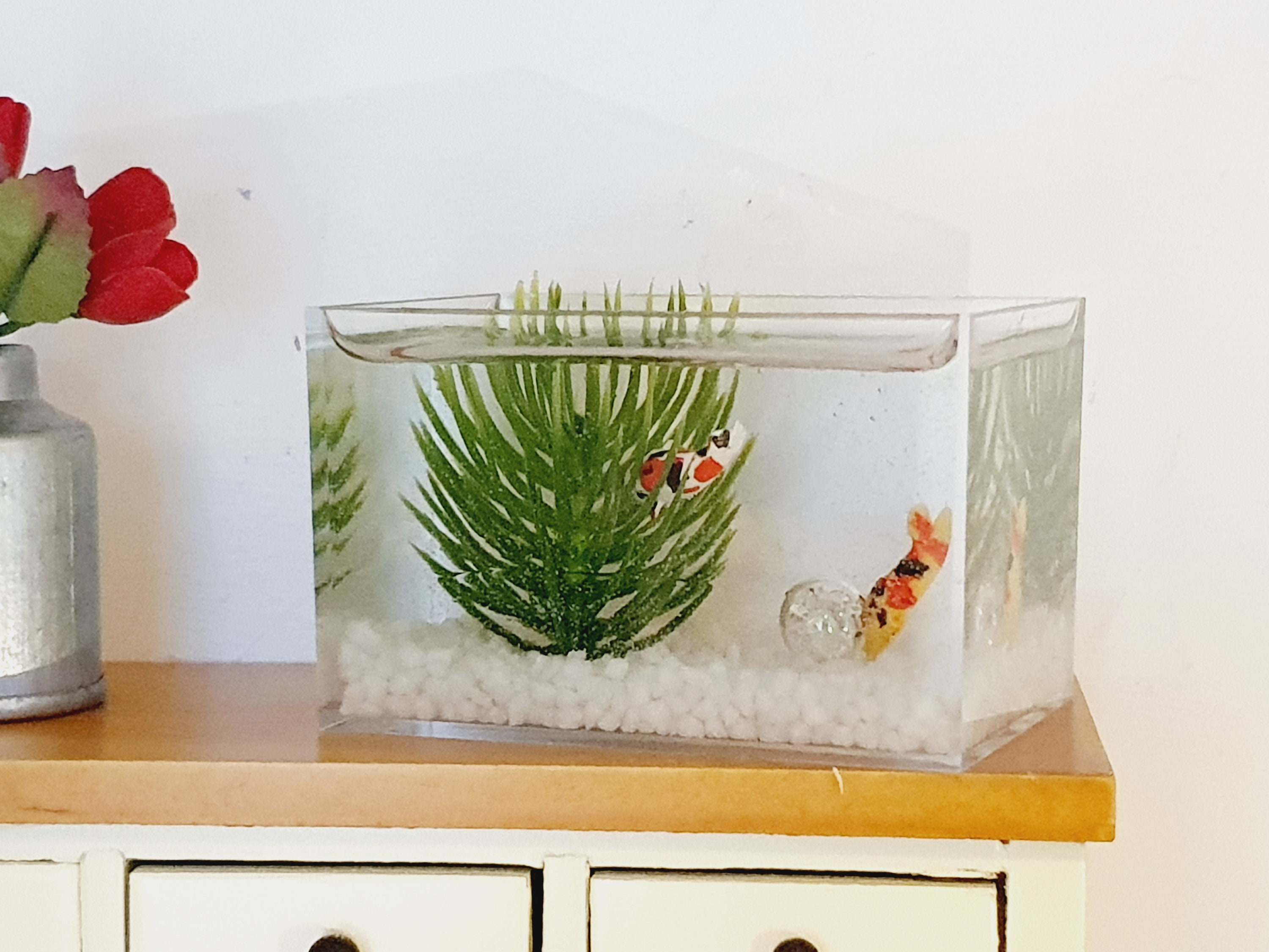 Hexagon Fish Tank for sale Only 3 left at 60