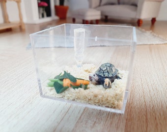 Turtle Coffee Table Tank Buy Dolls House Tortoise Cage With Food