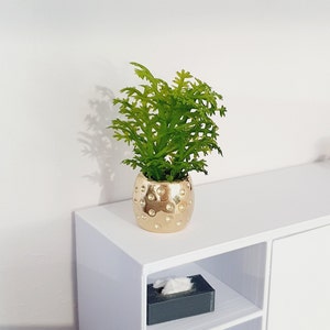 Dolls House Brass Plant Pot with Green Plant  1:12th Scale, Miniature