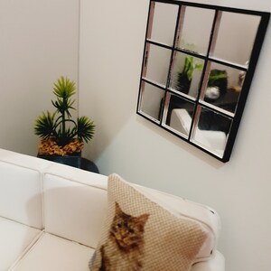 May include: A white couch with a pillow featuring a brown and white cat design. A small potted plant sits on a table in the background. A black framed mirror with multiple panes hangs on the wall.