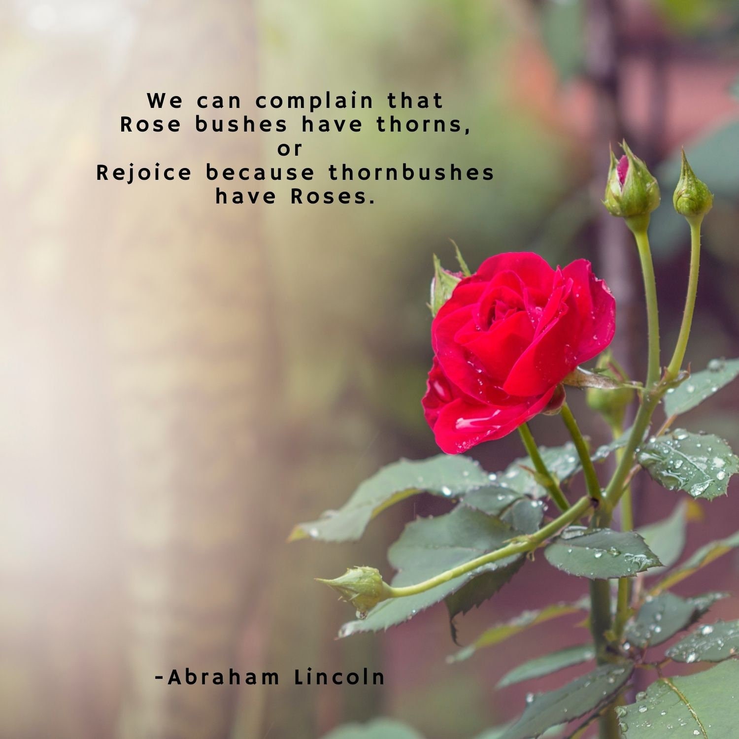 Digital Download Roses and Thorns quote from Etsy