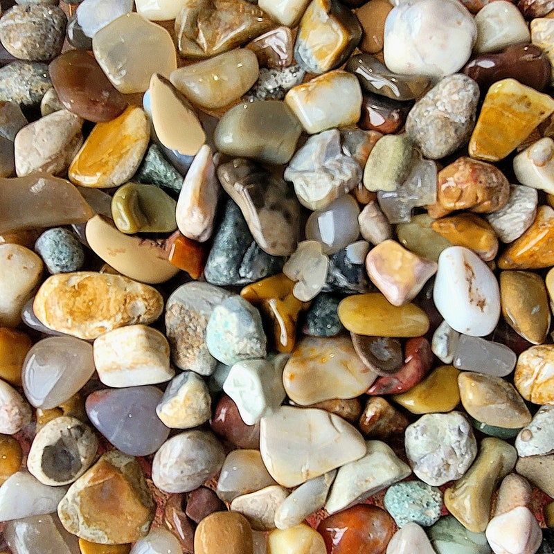 Different River Rocks Natural River Rocks - Etsy