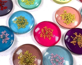 20 pressed flower glass cabochons, ~25mm round flat back cabs, assorted mix transparent colors with dried lace flower (B0086)