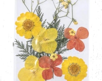 2 packs of dried pressed yellow and salmon flowers, preserved flowers and leaves for resin art, framed floral arrangement, candles