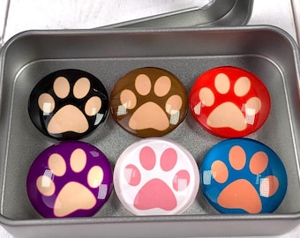 6 paw print whiteboard magnets, cute magnets for fridge, gift for vet tech, rescue dog mom, 1" round assorted colors random pick w/ gift tin