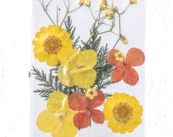 2 packs of dried pressed yellow and salmon flowers, preserved flowers and leaves for resin art, framed floral arrangement, candles