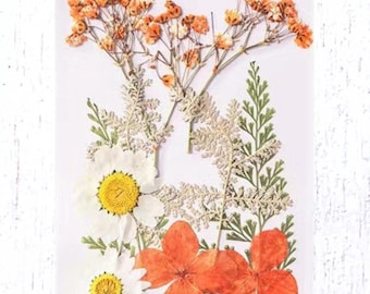 2 packs of dried pressed orange and cream flowers, preserved flowers and leaves for resin art, framed floral arrangement, bookmarks, candles