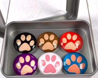 6 paw print whiteboard magnets, cute magnets for fridge, gift for vet tech, rescue dog mom, 1" round assorted colors random pick w/ gift tin